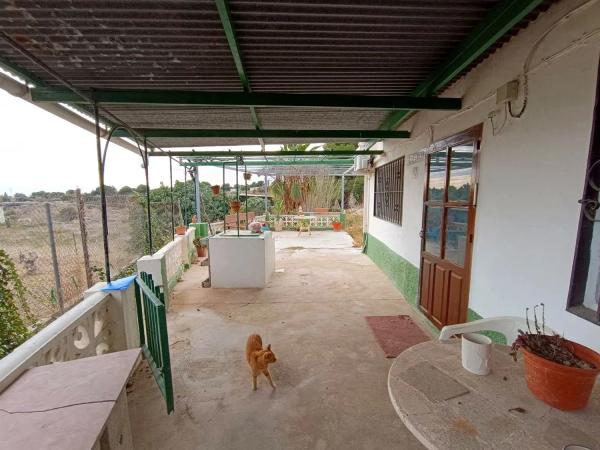 Casa independiente en Partida Alcocons