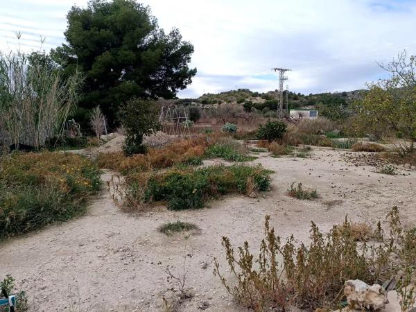 Casa independiente en Partida Alcocons