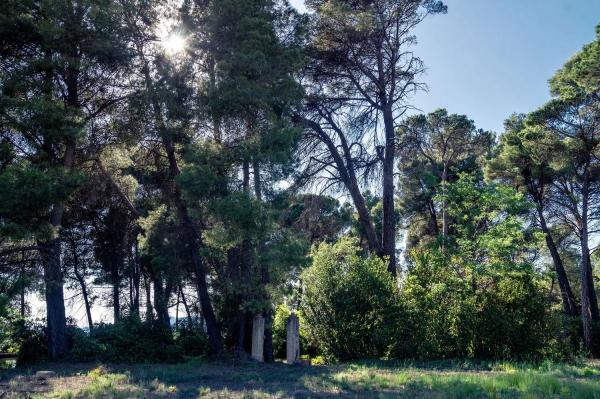 Masía en Partida les Plans, 1