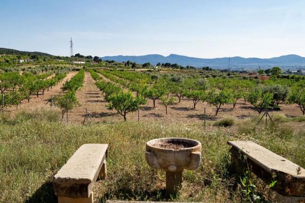 Masía en Partida les Plans, 1