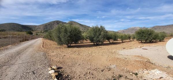 Chalet en Hondón de las Nieves