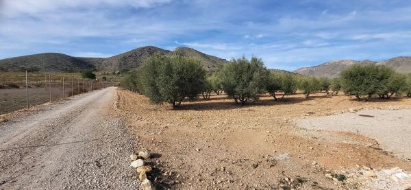Chalet en Hondón de las Nieves