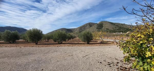 Chalet en Hondón de las Nieves