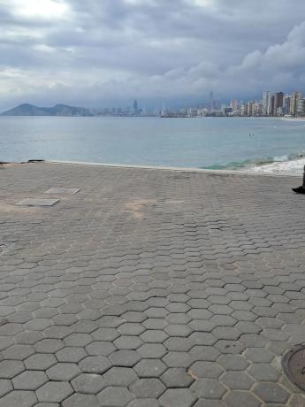 Estudio en calle Alcalde Manuel Catalán Chana