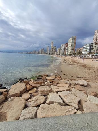 Estudio en calle Alcalde Manuel Catalán Chana