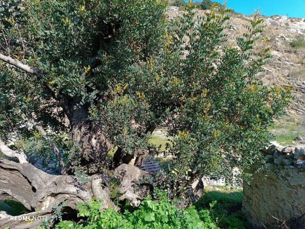 Chalet pareado en benisili s/n