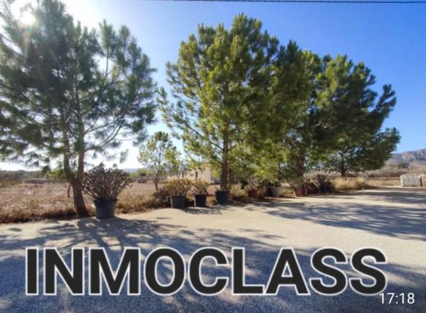 Casa independiente en Partida Peter Rives