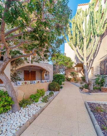 Piso en avenida Catalanet