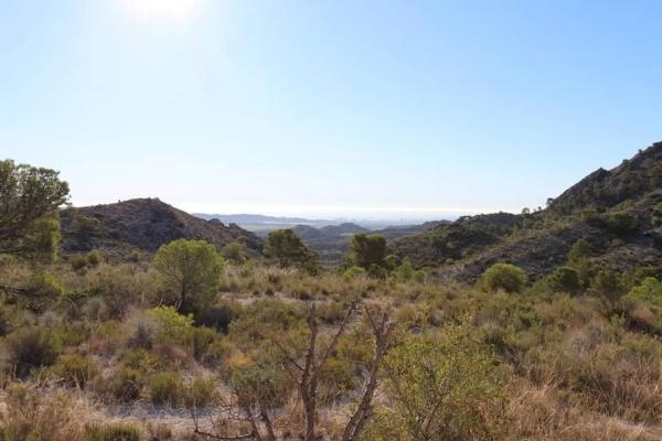 Casa independiente en calle Assagador de les Foietes