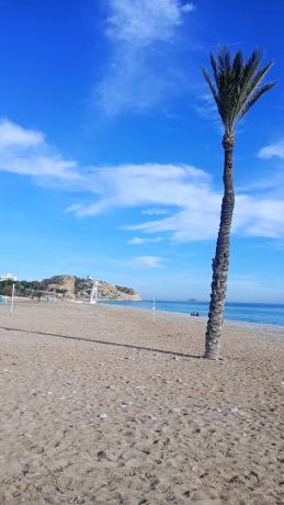 Piso en calle Ferrocarril