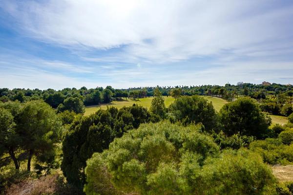 Ático en avenida Conde de Barcelona