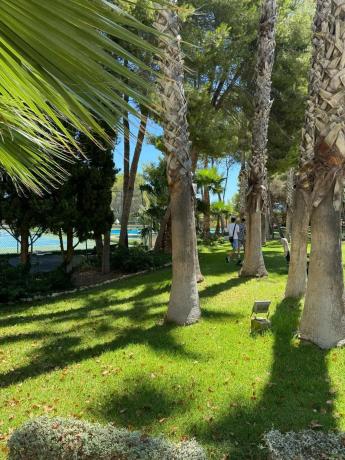 Piso en calle Samaniego, 16