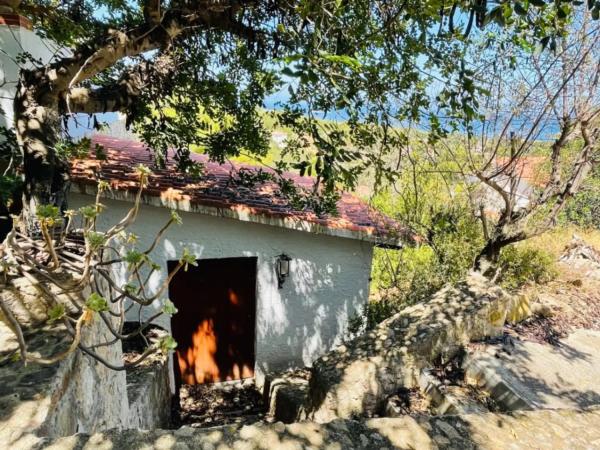 Casa independiente en calle Perseu, 34