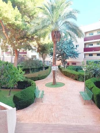 Estudio en Mil Palmeras