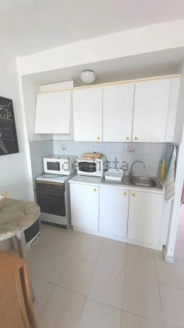 Estudio en Mil Palmeras