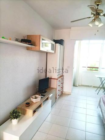 Estudio en Mil Palmeras