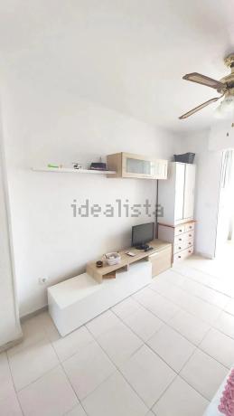 Estudio en Mil Palmeras