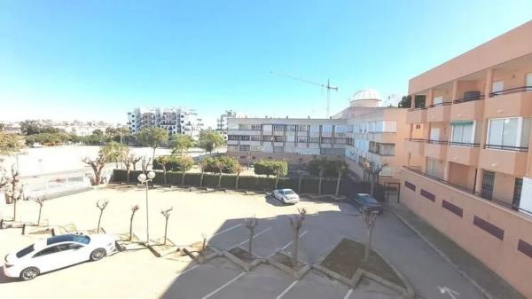 Estudio en Mil Palmeras