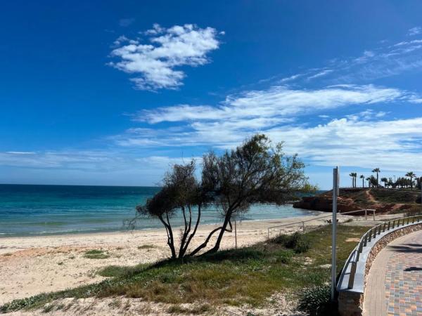 Piso en Mil Palmeras