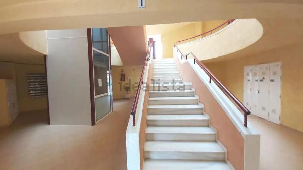 Estudio en Mil Palmeras