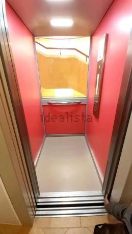 Estudio en Mil Palmeras