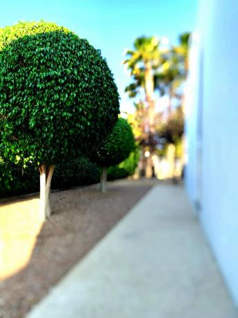 Casa independiente en calle Cézanne, 14