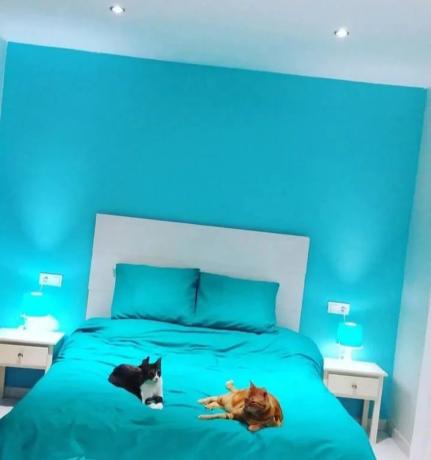 Chalet pareado en calle Vall de Gallinera, 38