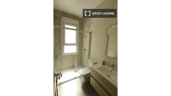 Piso completo de 5 habitaciones en Bilbao