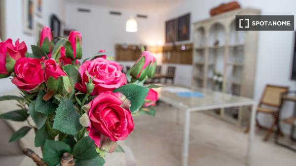 Piso completo de 3 habitaciones en Cádiz