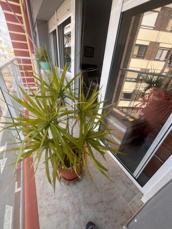 Piso en calle d'Isaac Albéniz, 5