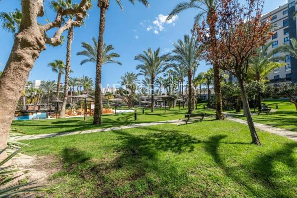 Piso en calle Escultor José Gutierrez