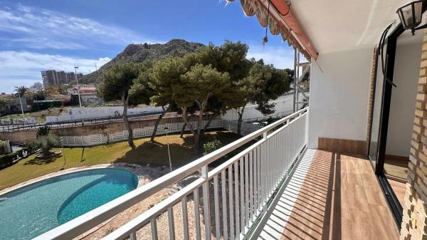 Estudio en avenida Albufereta, 77