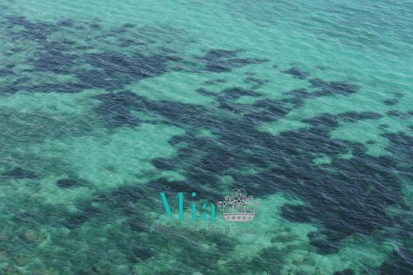 Piso en avenida de Villajoyosa