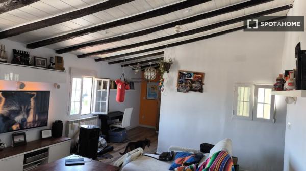 Piso entero de 2 dormitorios en madrid.