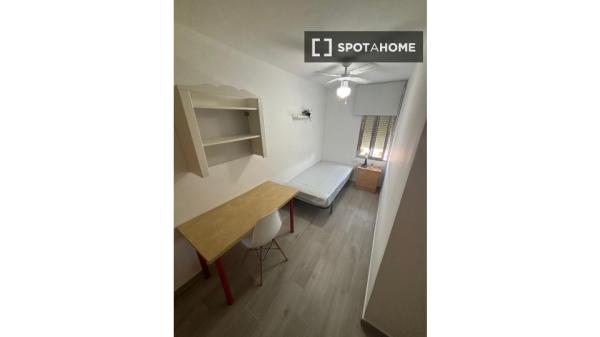 Se alquila habitación en piso de 3 dormitorios