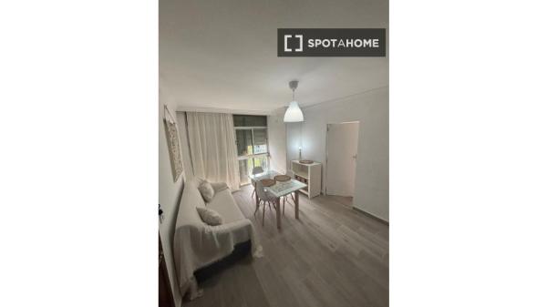 Se alquila habitación en piso de 3 dormitorios