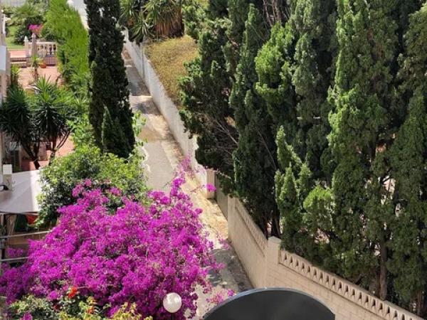 Piso en avenida Jaime i el Conquistador