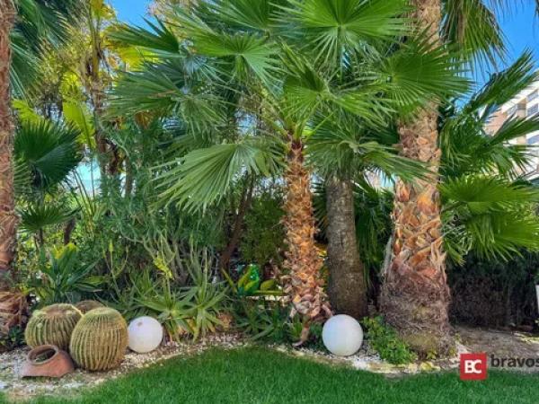 Piso en avenida Jaime i el Conquistador, 19