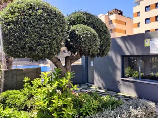 Piso en calle Alcalde Josep Poveda Verdú, 3