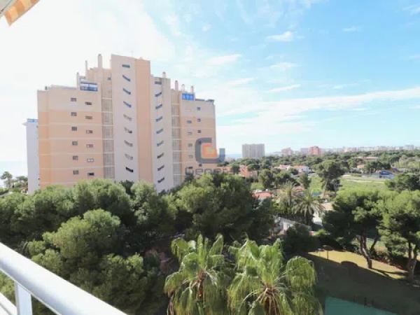 Piso en calle d'Oviedo