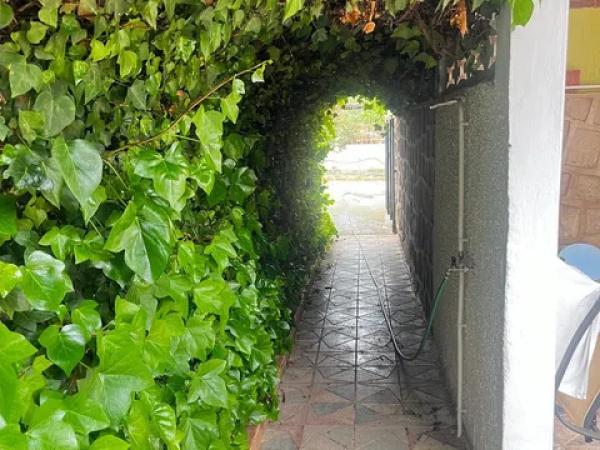 Casa independiente en calle Morella, 3