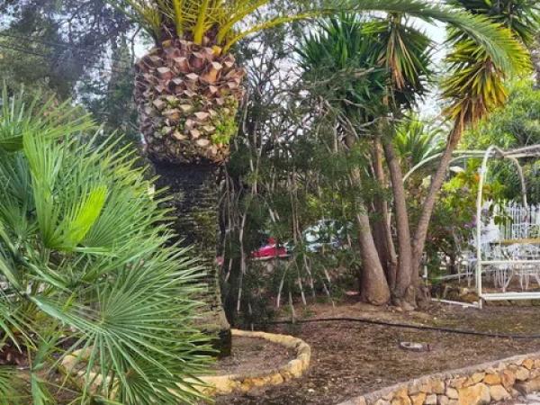 Chalet en Colonia Escandinavia-Cautivador