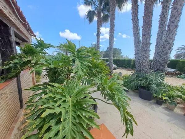 Casa independiente en Partida Baya Baja Pol 2