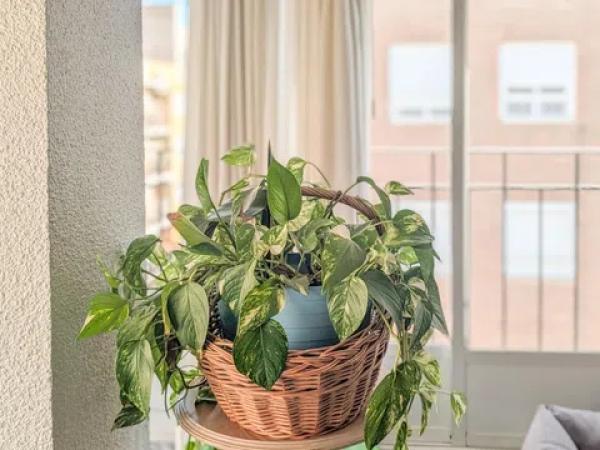 Piso en calle Reina Victoria