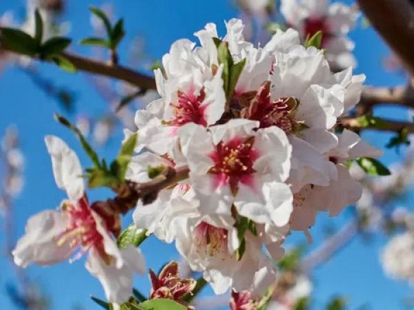 Casa independiente en calle Escuelas