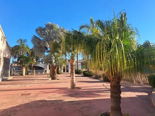 Casa independiente en Peña las Aguilas s/n CamdeltoPau