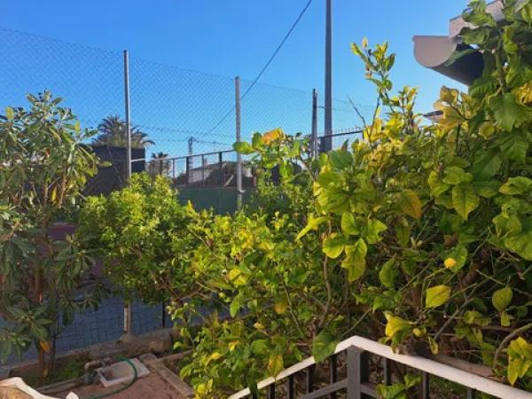 Casa independiente en Peña las Aguilas s/n CamdeltoPau