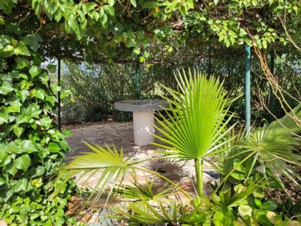 Casa independiente en camino peñon