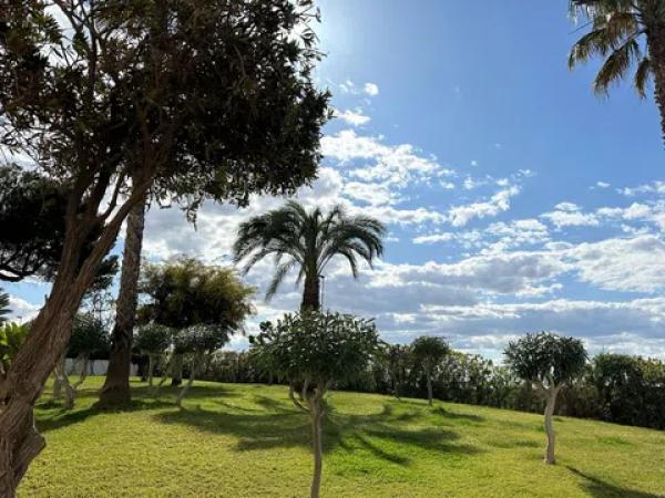 Piso en avenida Corinto, 2 a