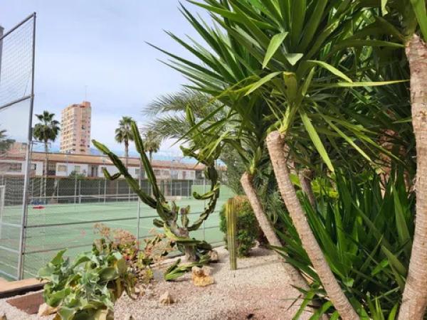 Piso en avenida Ametlla de Mar